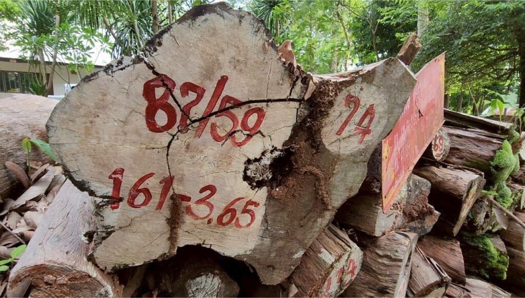 "สว.ชีวะภาพ" ปลุกคนไทย ! ชี้ 10 ปี จับเขมรตัดไม้พะยูงนับหมื่นคน ความเสียหายมหาศาล "สว.ชีวะภาพ" ปลุกคนไทย ! ชี้ 10 ปี จับเขมรตัดไม้พะยูงนับหมื่นคน ความเสียหายมหาศาล