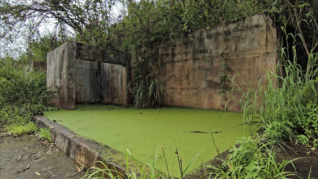 วุฒิสภาลุย "ห้วยคลิตี้" จี้ปมสารตะกั่ว ถามหาความคืบหน้าฟื้นฟู ชี้บทเรียนใหญ่ห้ามเกิดซ้ำ! วุฒิสภาลุย "ห้วยคลิตี้" จี้ปมสารตะกั่ว ถามหาความคืบหน้าฟื้นฟู ชี้บทเรียนใหญ่ห้ามเกิดซ้ำ!