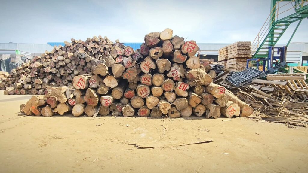 กมธ.สิ่งแวดล้อม วุฒิสภา แนะแก้ระเบียบเปิดประมูลไม้ของกลาง นำเงินเข้ารัฐ กมธ.สิ่งแวดล้อม วุฒิสภา แนะแก้ระเบียบเปิดประมูลไม้ของกลาง นำเงินเข้ารัฐ