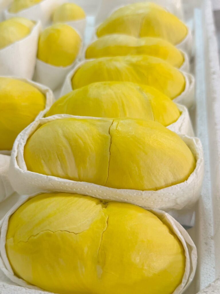 กรมการค้าภายใน วางแผนบริหารจัดการตลาด”ทุเรียน” รับผลผลิตทยอยออกตลาด เม.ย.–มิ.ย. เตรียมแคมเปญยกระดับภาพลักษณ์ทุเรียนคุณภาพ สร้างความเชื่อมั่นผู้บริโภค กรมการค้าภายใน วางแผนบริหารจัดการตลาด”ทุเรียน” รับผลผลิตทยอยออกตลาด เม.ย.–มิ.ย. เตรียมแคมเปญยกระดับภาพลักษณ์ทุเรียนคุณภาพ สร้างความเชื่อมั่นผู้บริโภค