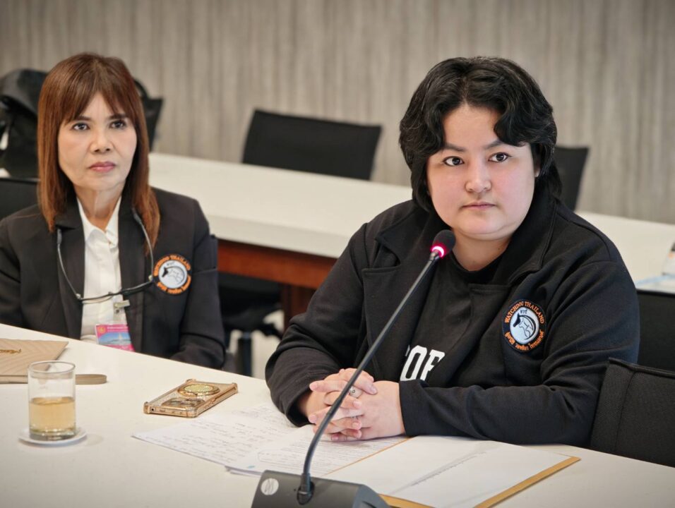 วุฒิสภา รับลูก วอชด็อกฯ ปลุกกระแส "สีดอหูพับ" สังคายนาเคลื่อนย้ายช้าง ล้างบางมาเฟียฮุบป่า! วุฒิสภา รับลูก วอชด็อกฯ ปลุกกระแส "สีดอหูพับ" สังคายนาเคลื่อนย้ายช้าง ล้างบางมาเฟียฮุบป่า!