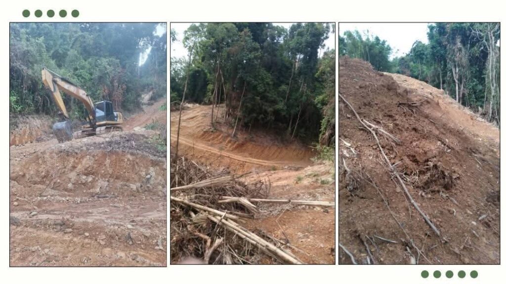 'สว.ชีวะภาพ' หวังพึ่งศาลปกครองเบรกนายทุนฮุบป่าระนอง 2 พันไร่ ฉะแก๊งตัดไม้เหิมทำ 'ป่าแหว่ง' สูญกว่าพันล้าน! 'สว.ชีวะภาพ' หวังพึ่งศาลปกครองเบรกนายทุนฮุบป่าระนอง 2 พันไร่ ฉะแก๊งตัดไม้เหิมทำ 'ป่าแหว่ง' สูญกว่าพันล้าน!