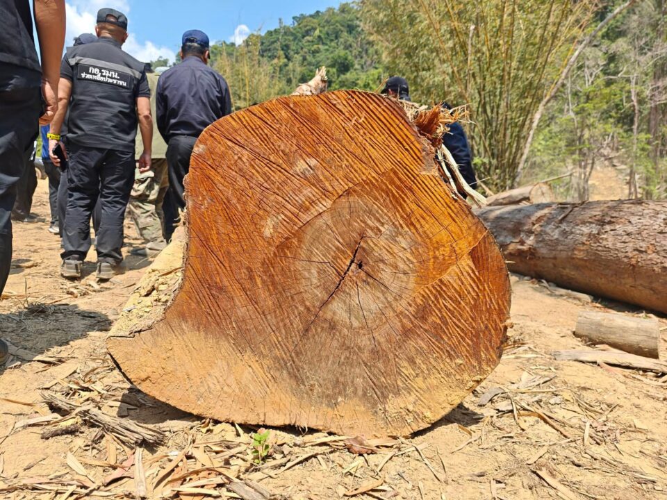 กมธ.สิ่งแวดล้อม วุฒิสภา ลุยตรวจป่าต้นน้ำระนองแหว่ง "สว.ชีวะภาพ" ลั่นน่าเกลียดมาก จ่อลากคอตัวการ-ยึดทรัพย์เกลี้ยง กมธ.สิ่งแวดล้อม วุฒิสภา ลุยตรวจป่าต้นน้ำระนองแหว่ง "สว.ชีวะภาพ" ลั่นน่าเกลียดมาก จ่อลากคอตัวการ-ยึดทรัพย์เกลี้ยง