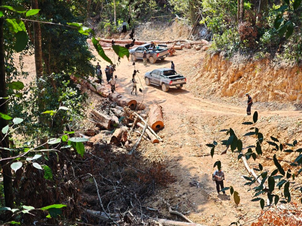 กมธ.สิ่งแวดล้อม วุฒิสภา ลุยตรวจป่าต้นน้ำระนองแหว่ง "สว.ชีวะภาพ" ลั่นน่าเกลียดมาก จ่อลากคอตัวการ-ยึดทรัพย์เกลี้ยง กมธ.สิ่งแวดล้อม วุฒิสภา ลุยตรวจป่าต้นน้ำระนองแหว่ง "สว.ชีวะภาพ" ลั่นน่าเกลียดมาก จ่อลากคอตัวการ-ยึดทรัพย์เกลี้ยง