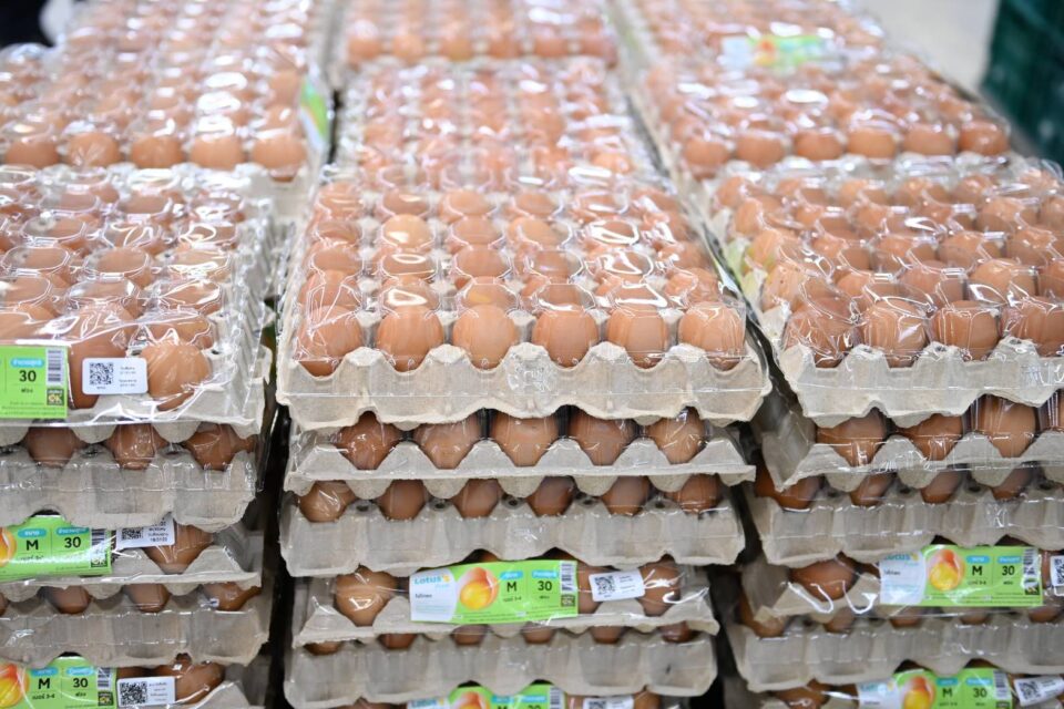 กรมการค้าภายใน ตรึงราคาสินค้าควบคุม จับตาต้นทุนน้ำมันใกล้ชิด รับสถานการณ์ตะวันออกกลาง กรมการค้าภายใน ตรึงราคาสินค้าควบคุม จับตาต้นทุนน้ำมันใกล้ชิด รับสถานการณ์ตะวันออกกลาง