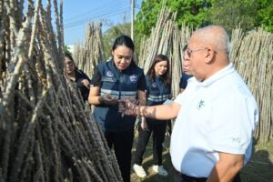 Drama Thailand ข่าววันนี้ Drama Thailand ข่าววันนี้