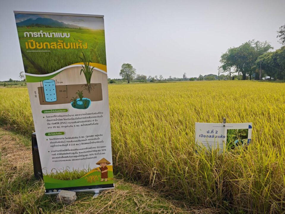 สว.ลุย"เดิมบางนางบวช" ชูชุมชนต้นแบบ ปลูกข้าวคาร์บอนต่ำ ลด Pm 2.5 สว.ลุย"เดิมบางนางบวช" ชูชุมชนต้นแบบ ปลูกข้าวคาร์บอนต่ำ ลด Pm 2.5