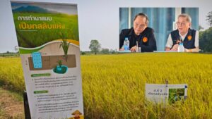 Drama Thailand ข่าววันนี้ Drama Thailand ข่าววันนี้