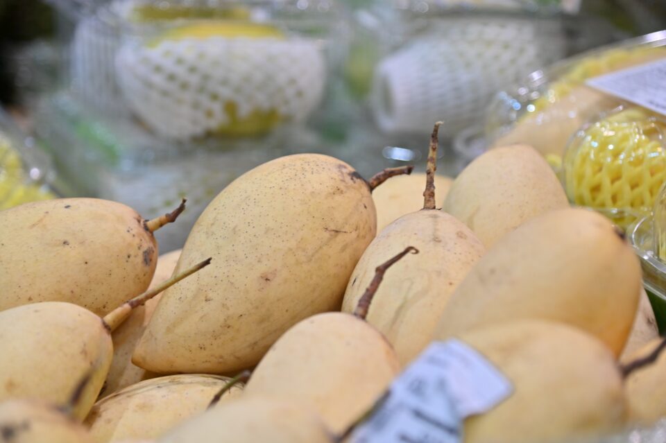 กรมการค้าภายใน ขับเคลื่อน “Thailand : The Land of Tropical Fruits 2026” กรมการค้าภายใน ขับเคลื่อน “Thailand : The Land of Tropical Fruits 2026”