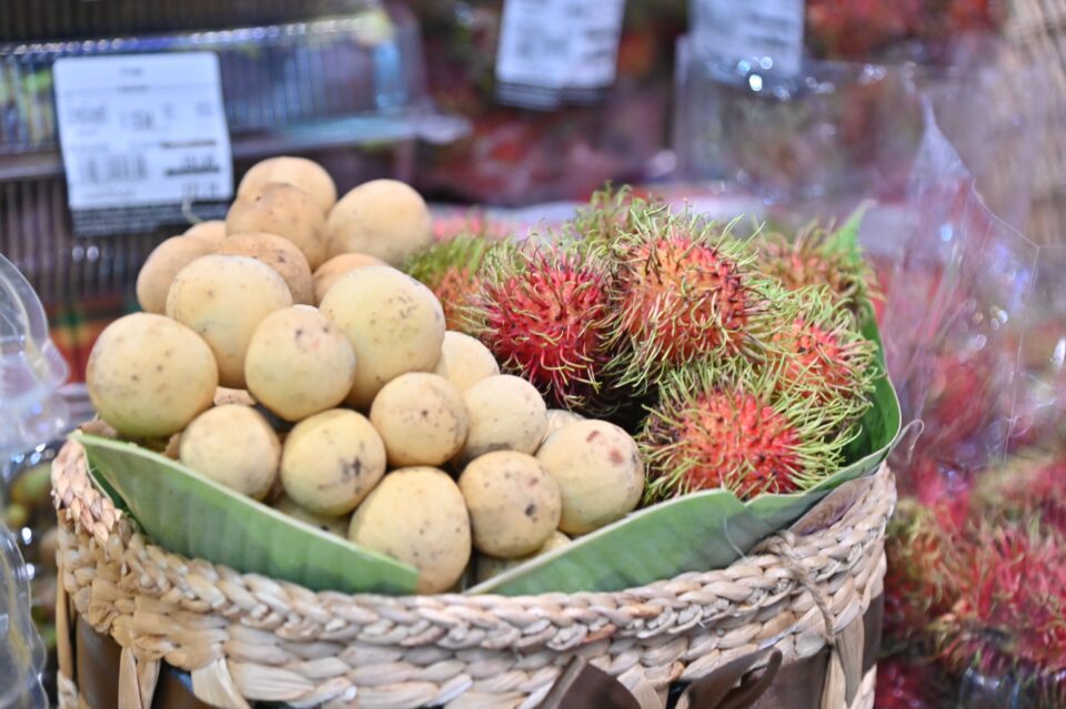 กรมการค้าภายใน ขับเคลื่อน “Thailand : The Land of Tropical Fruits 2026” กรมการค้าภายใน ขับเคลื่อน “Thailand : The Land of Tropical Fruits 2026”