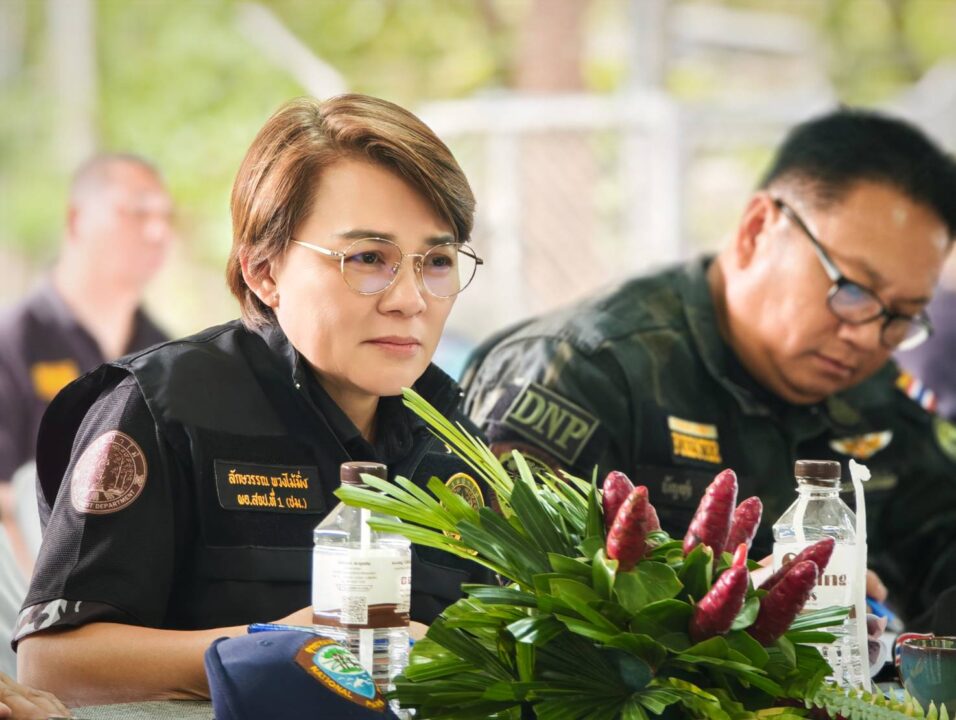 "ชีวะภาพ" ปลุกสังคมประณามล้างบางทุนข้ามถิ่น ฮุบป่าต้นน้ำปลูกขิงดอยฮอด เชียงใหม่ผงะป่าแหว่ง 40 จุด เสนองัด ม.25 รื้อเรียบห้ามเก็บเกี่ยว! ทวงคืนกลับมา กรมป่าไม้ รับลูกเตรียมเปิดยุทธการรื้อถอน "ชีวะภาพ" ปลุกสังคมประณามล้างบางทุนข้ามถิ่น ฮุบป่าต้นน้ำปลูกขิงดอยฮอด เชียงใหม่ผงะป่าแหว่ง 40 จุด เสนองัด ม.25 รื้อเรียบห้ามเก็บเกี่ยว! ทวงคืนกลับมา กรมป่าไม้ รับลูกเตรียมเปิดยุทธการรื้อถอน