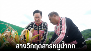 Drama Thailand ข่าววันนี้ Drama Thailand ข่าววันนี้